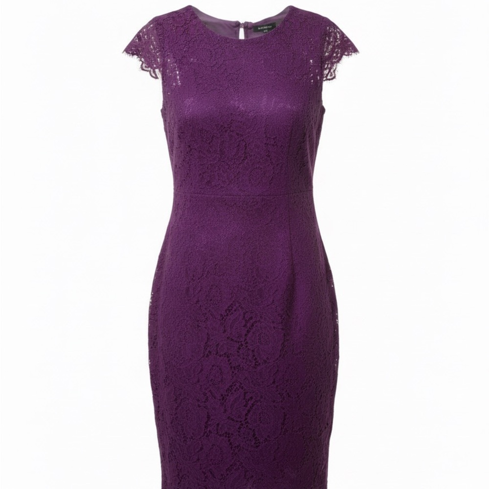 Elegant Purple Lace Lined Dress